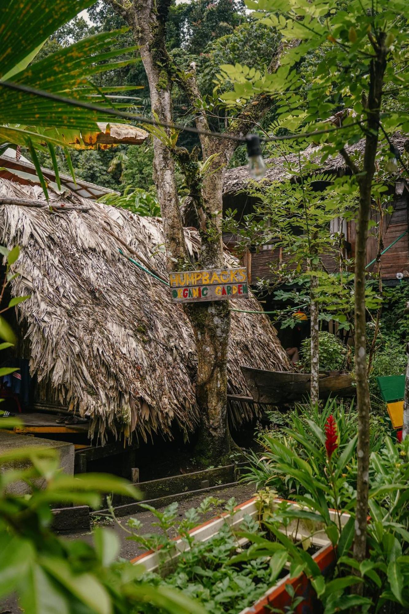 The Humpback Turtle Hotel El Valle  Exterior photo