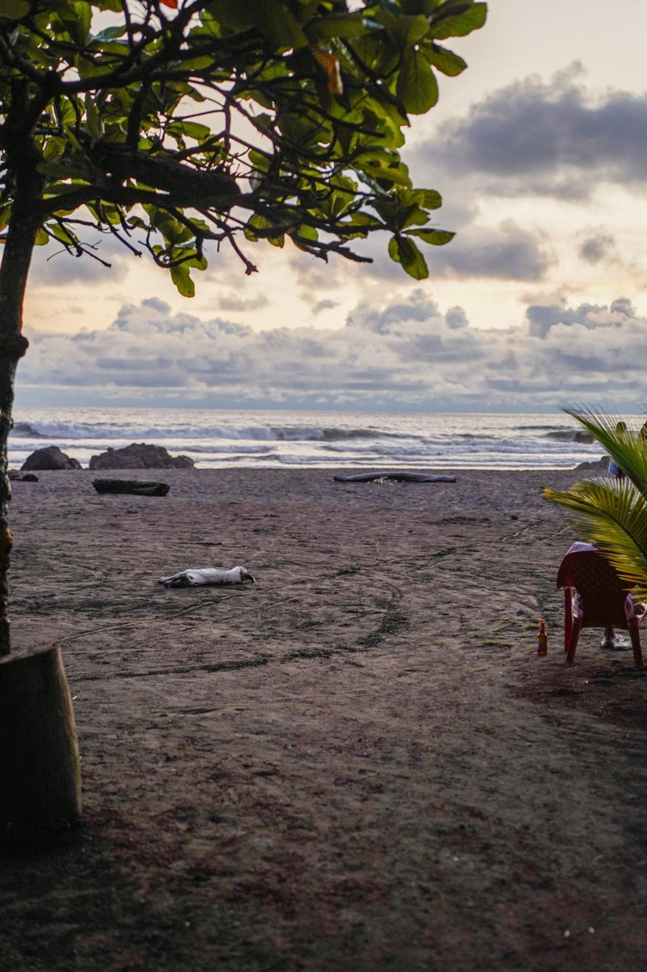 The Humpback Turtle Hotel El Valle  Exterior photo