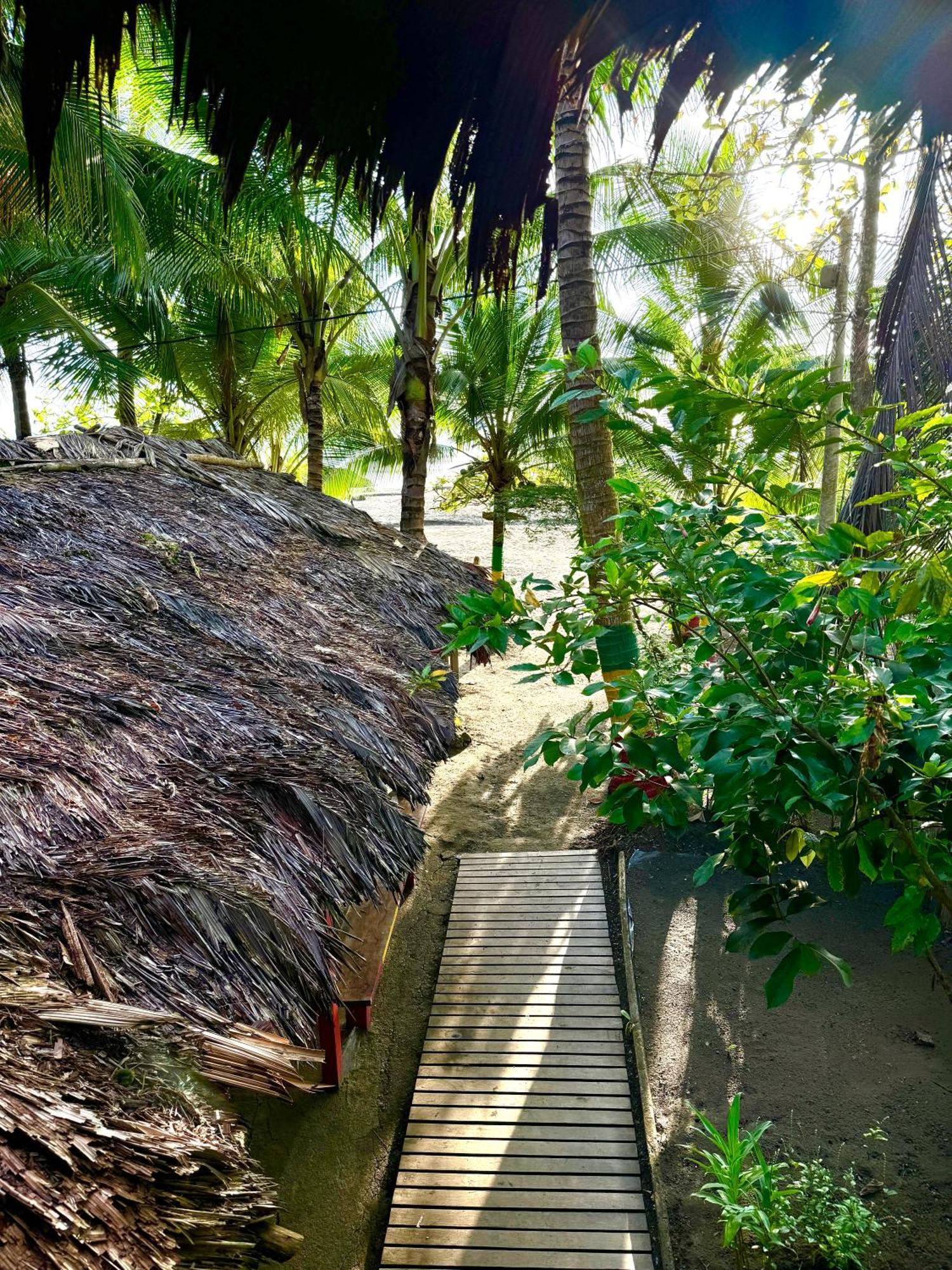 The Humpback Turtle Hotel El Valle  Exterior photo