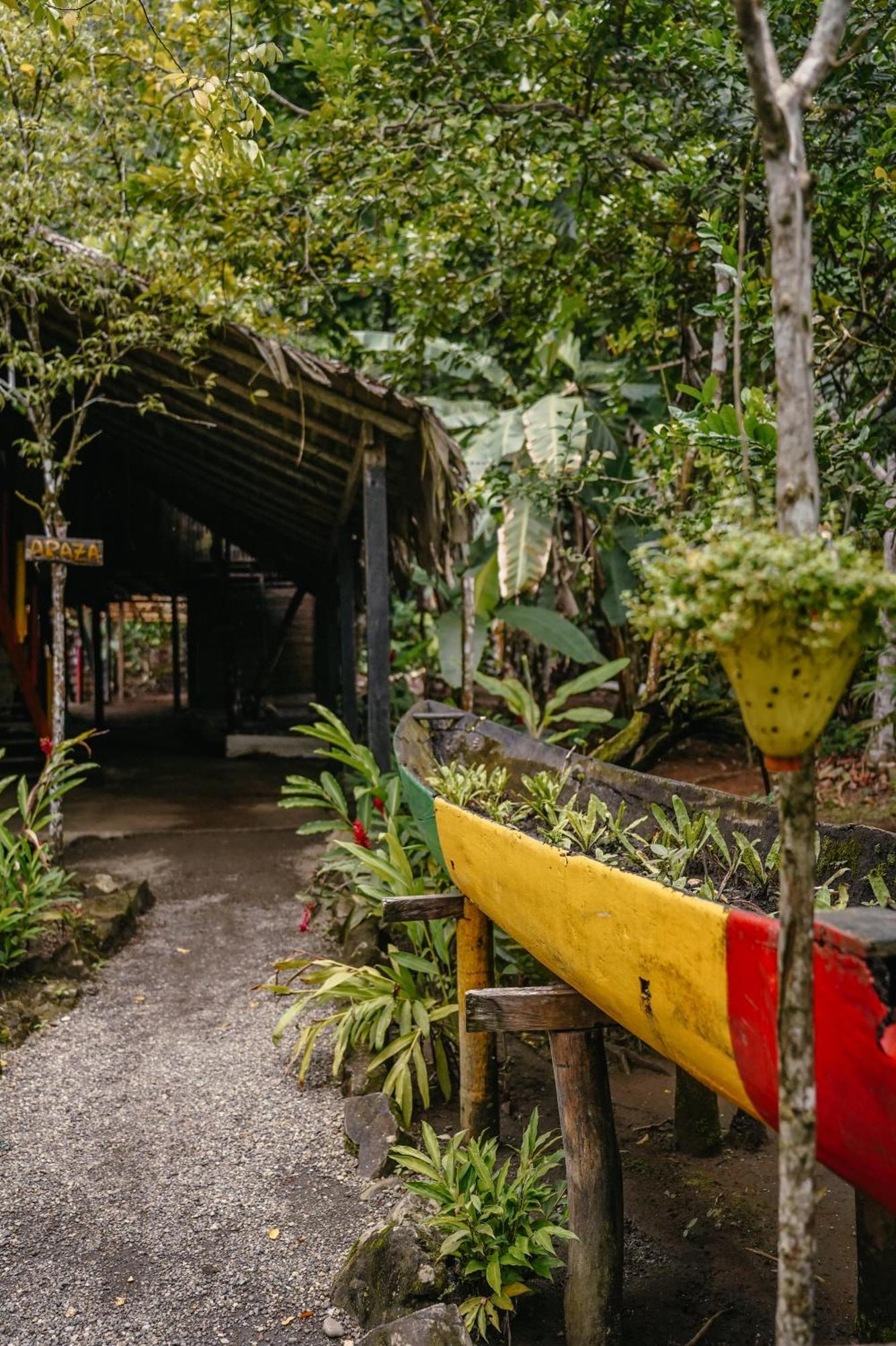 The Humpback Turtle Hotel El Valle  Exterior photo